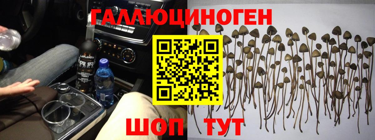 Псилоцибиновые грибы MAGIC MUSHROOMS Курчатов
